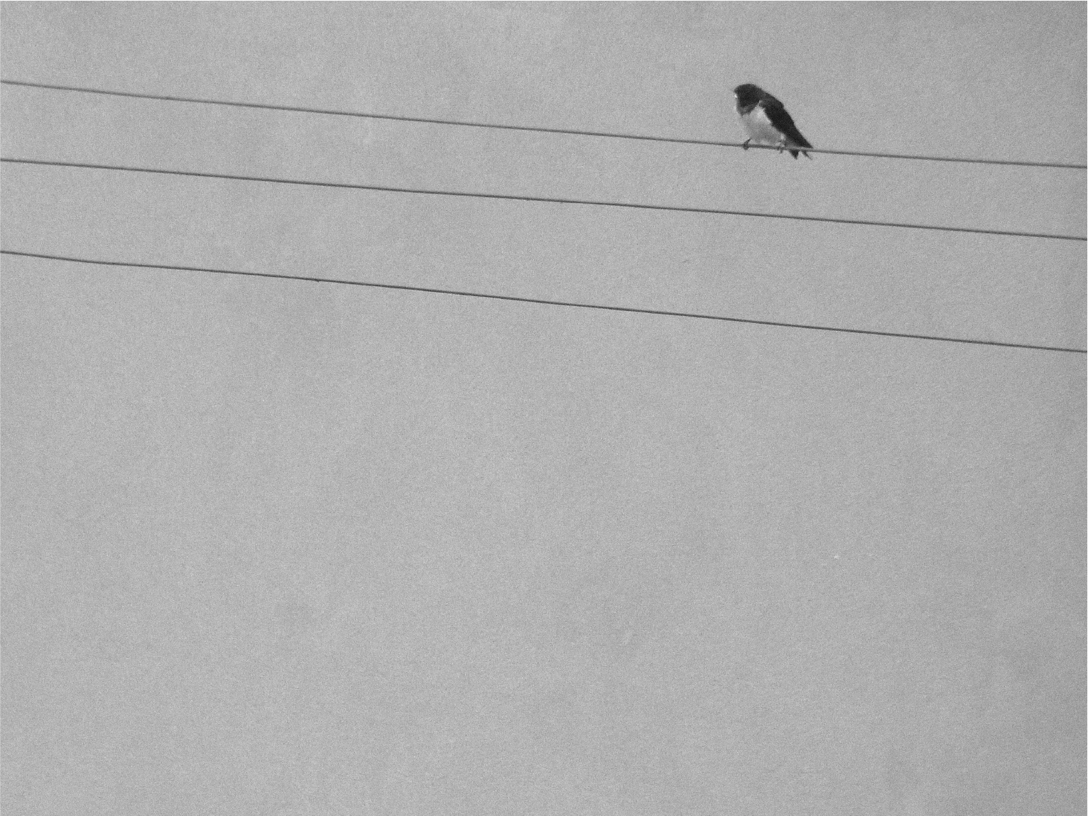 Minimal Spring p.1 - by Ivan Dal Cin